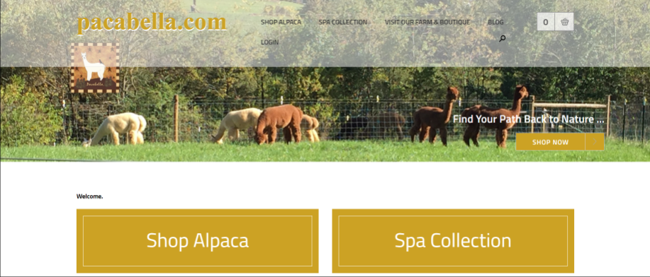 Alpaca Farm Tours, Shop Alpaca  Pacabella Farm Alpacas & Boutique