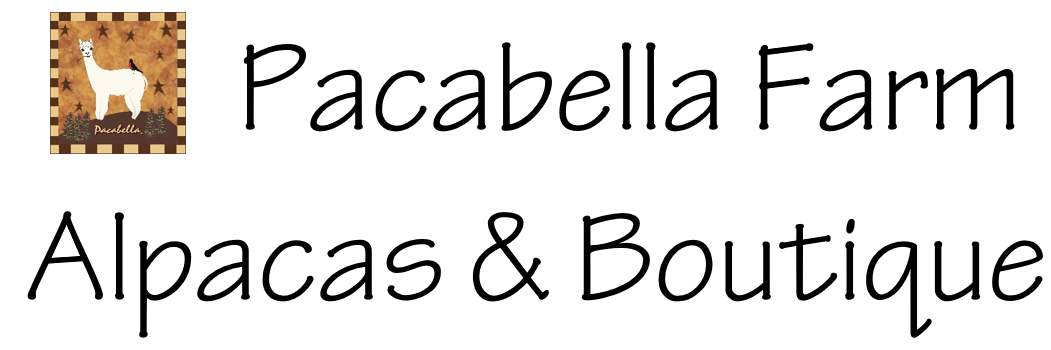 Alpaca Farm Tours Shop Alpaca Pacabella Farm Alpacas Boutique