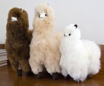 Standing Alpaca 12&quot;