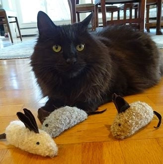 Crinkle Mouse Cat Toy