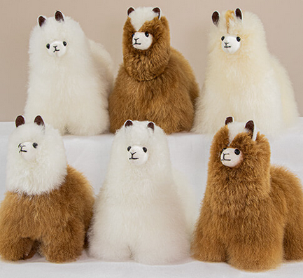 Stuffies! Smooch Alpaca - Pacabella Farm